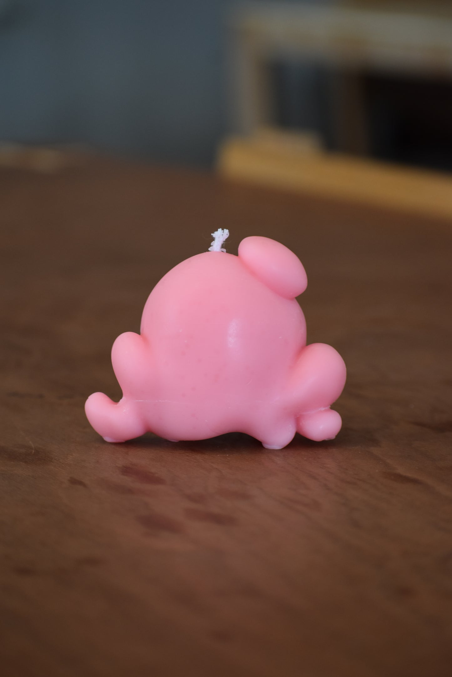 Character Candles (Made To Order)